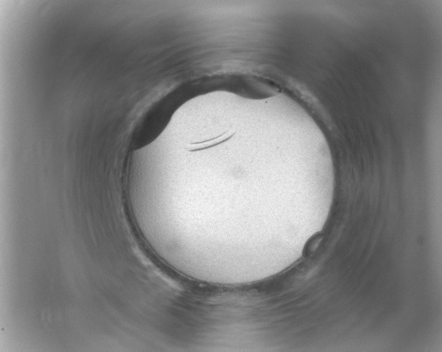 X0000065970625200603241914