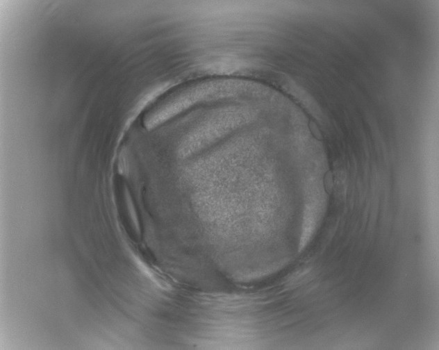 X0000065970626200603241914