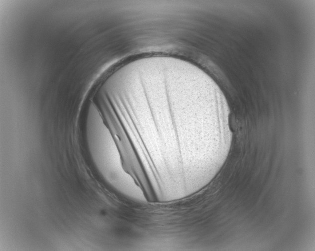 X0000065970628200603241914