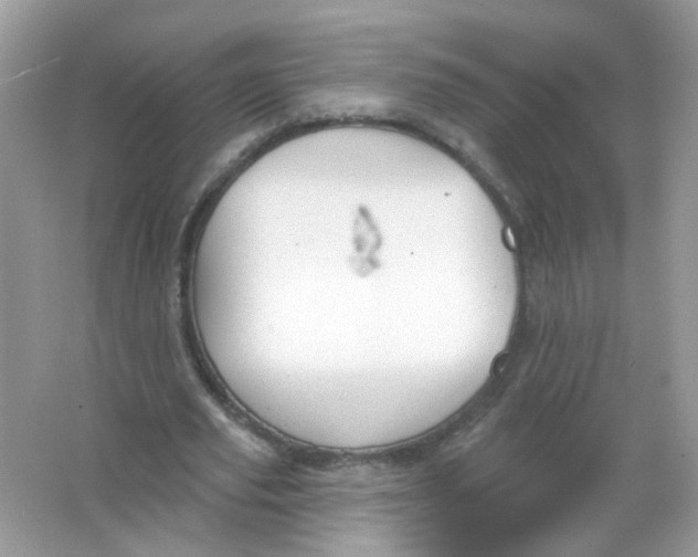 X0000065970629200603241914