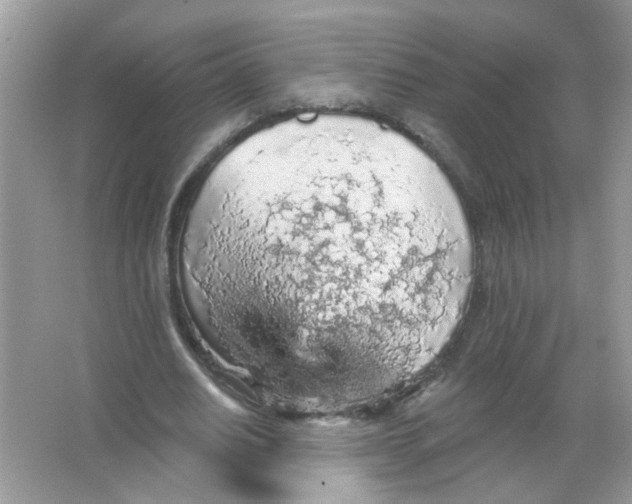 X0000065970630200603241914