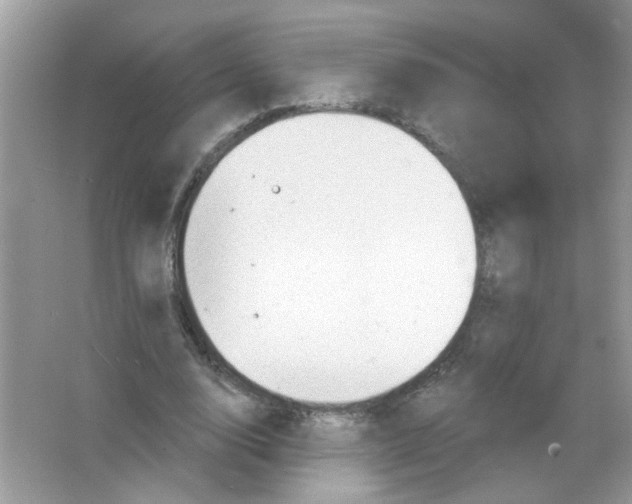 X0000065970632200603241914