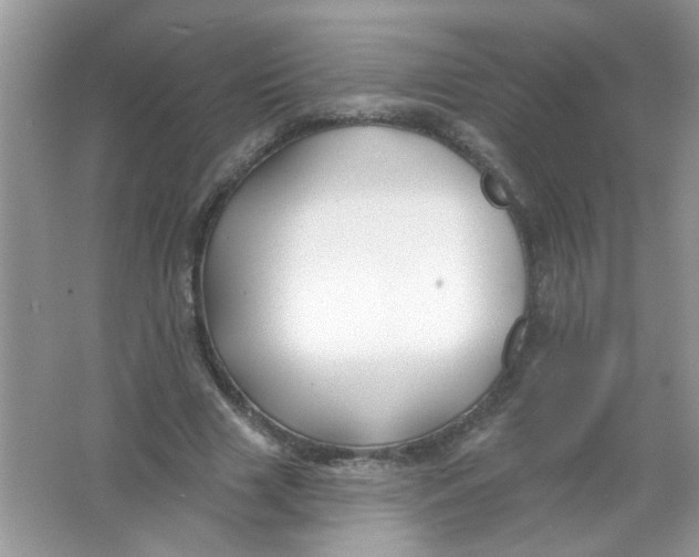 X0000065970633200603241914