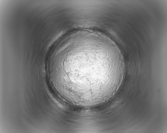 X0000065970634200603241914