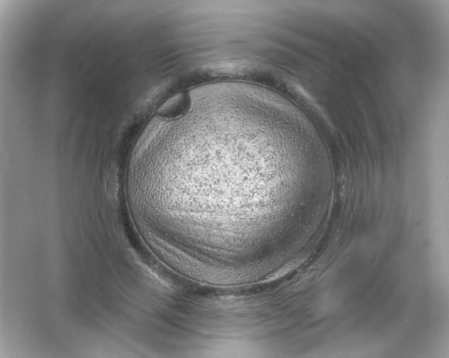 X0000065970637200603241914