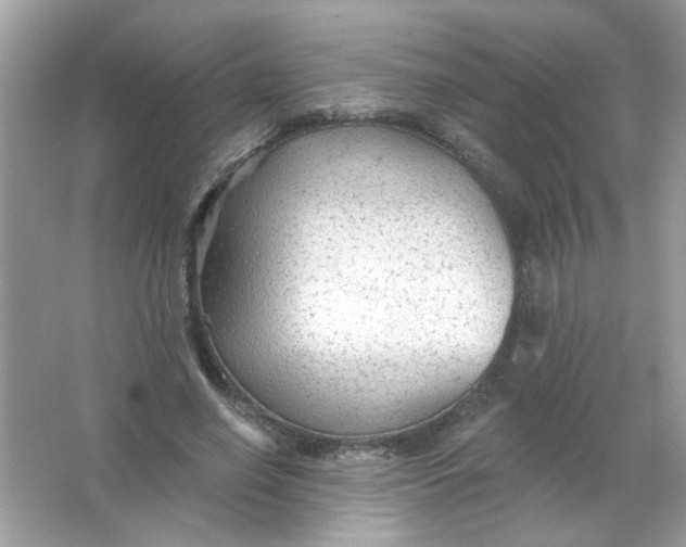 X0000065970638200603241914