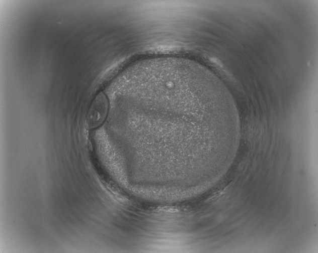 X0000065970640200603241914