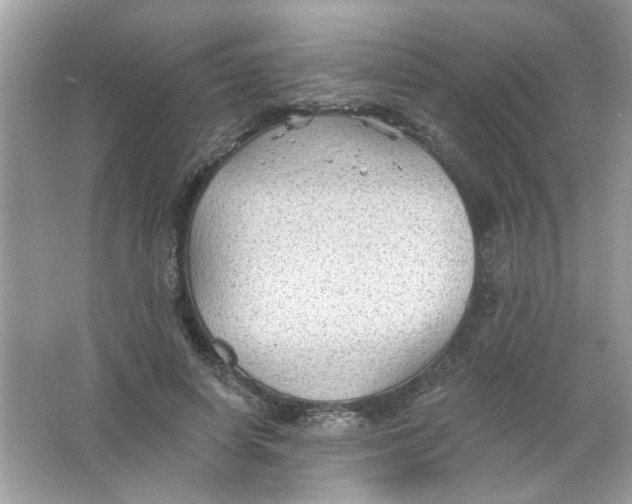 X0000065970642200603241914