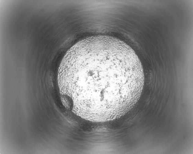 X0000065970643200603241914