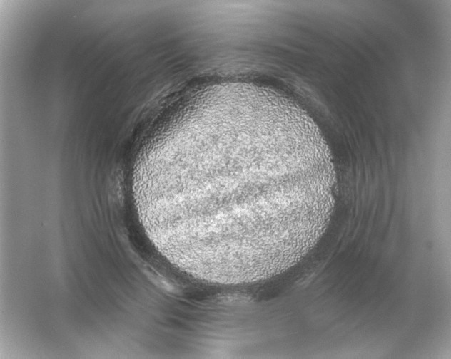 X0000065970644200603241914