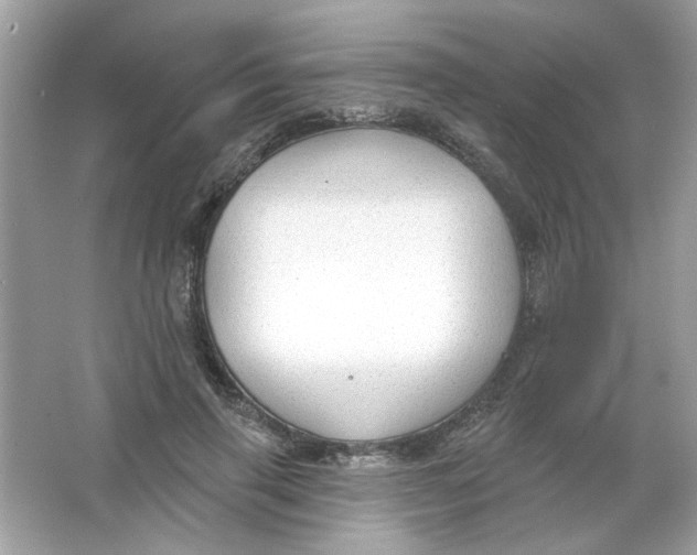 X0000065970645200603241914