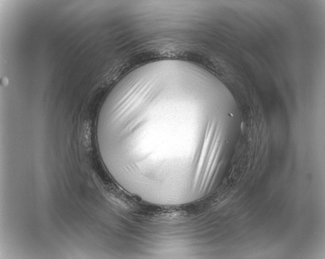 X0000065970646200603241914