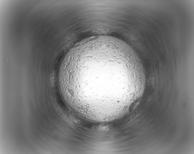 X0000065970647200603241914