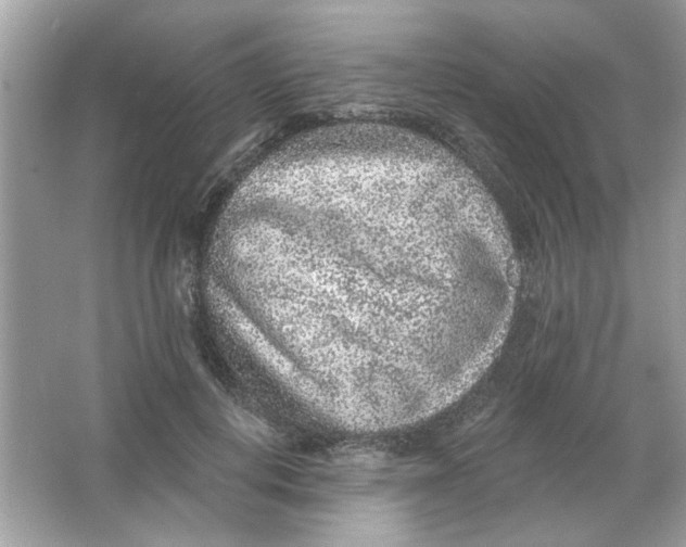 X0000065970648200603241914