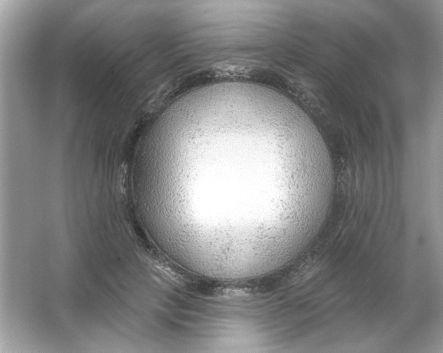 X0000065970649200603241914