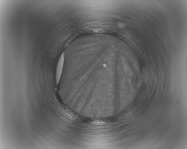 X0000065970650200603241914