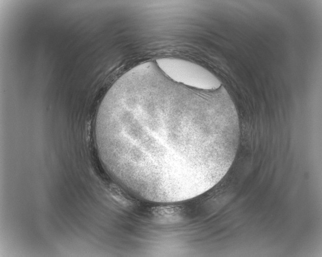 X0000065970652200603241914