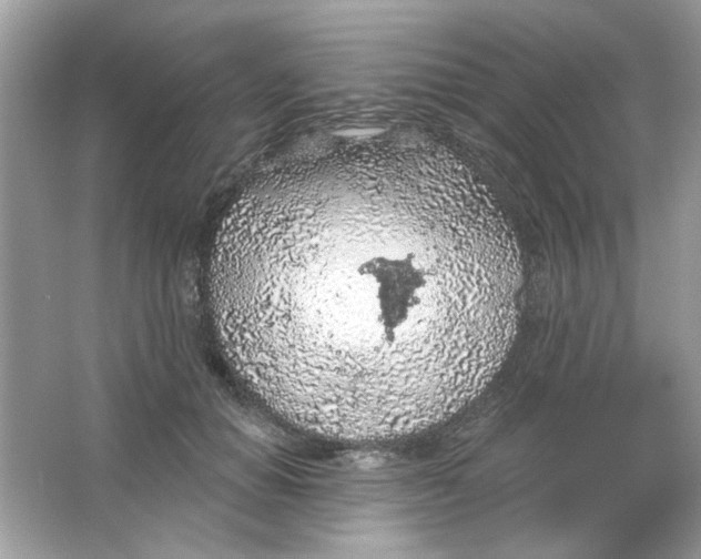 X0000065970654200603241914