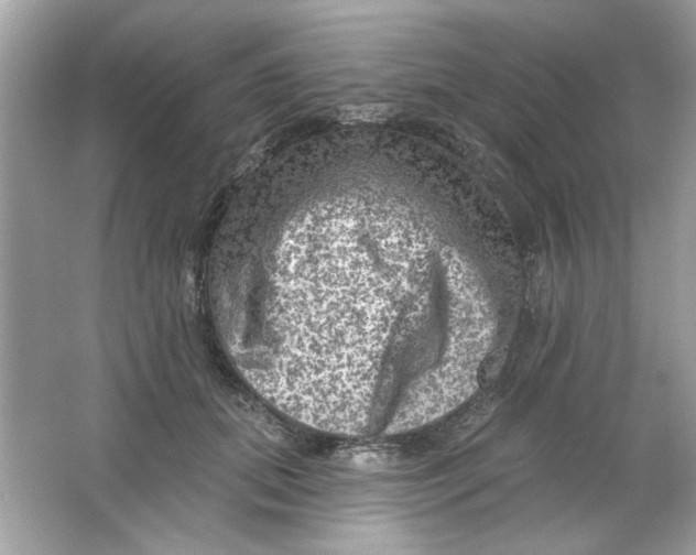 X0000065970655200603241914