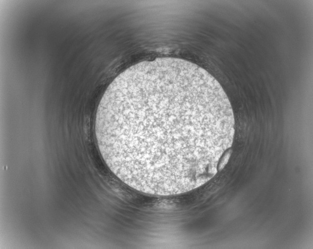 X0000065970656200603241914