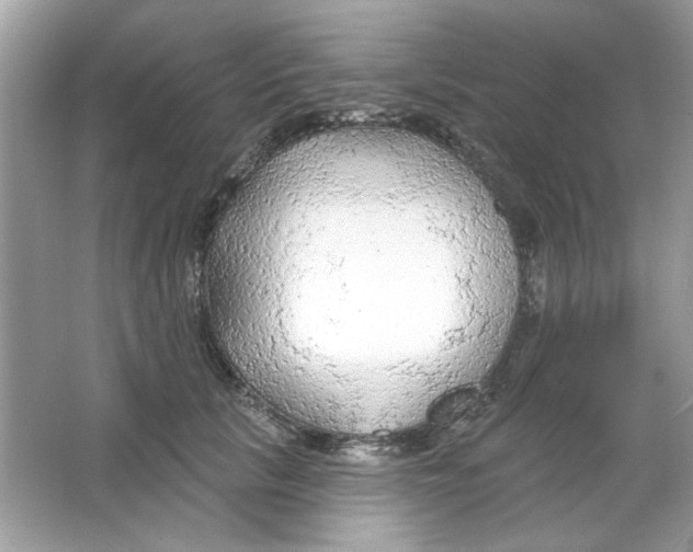 X0000065970657200603241914