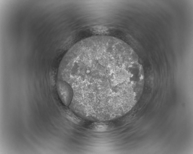 X0000065970658200603241914