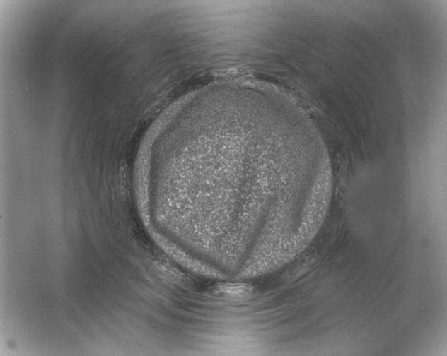 X0000065970659200603241914