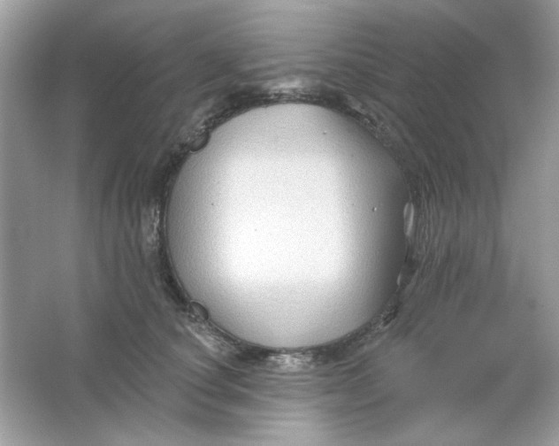 X0000065970660200603241914