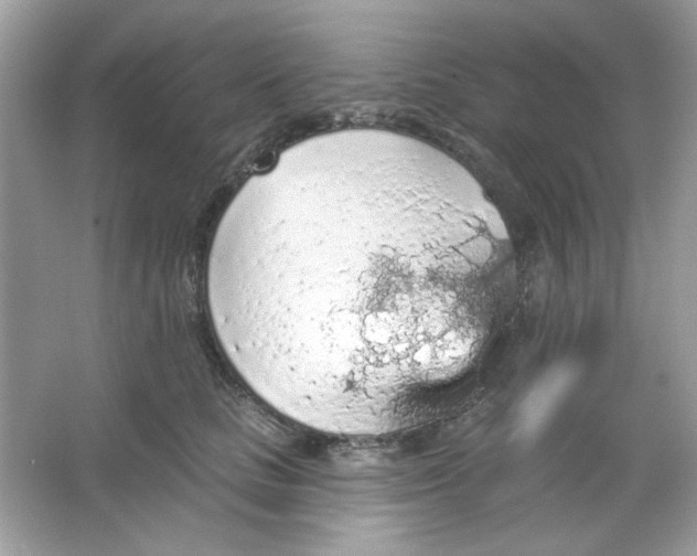 X0000065970661200603241914