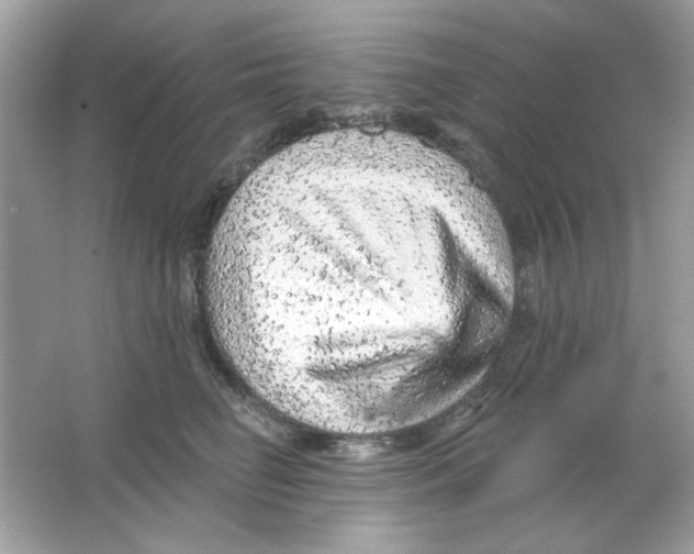 X0000065970662200603241914