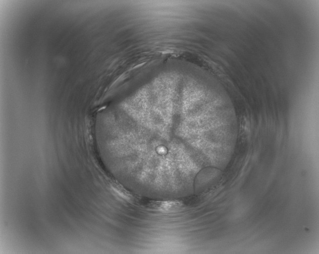 X0000065970663200603241914