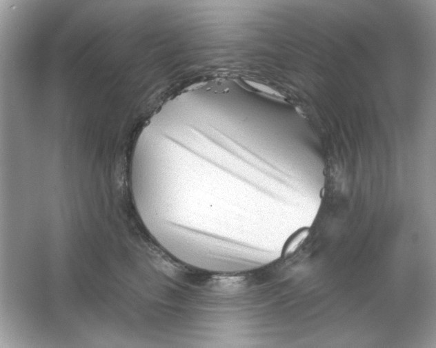 X0000065970665200603241915