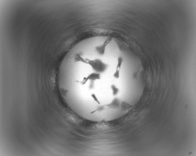 X0000065970668200603241915