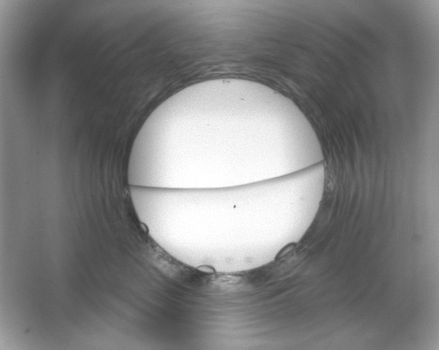 X0000065970669200603241915