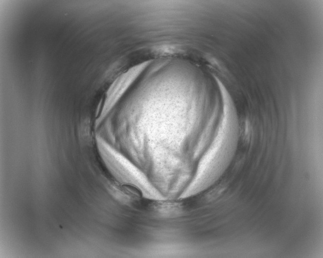 X0000065970670200603241915