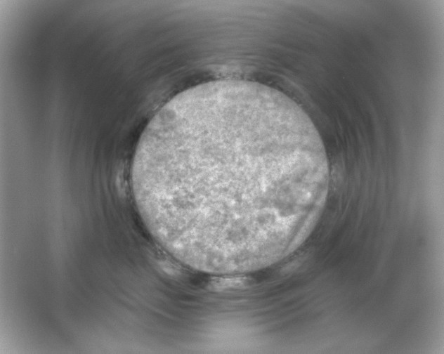 X0000065970671200603241915