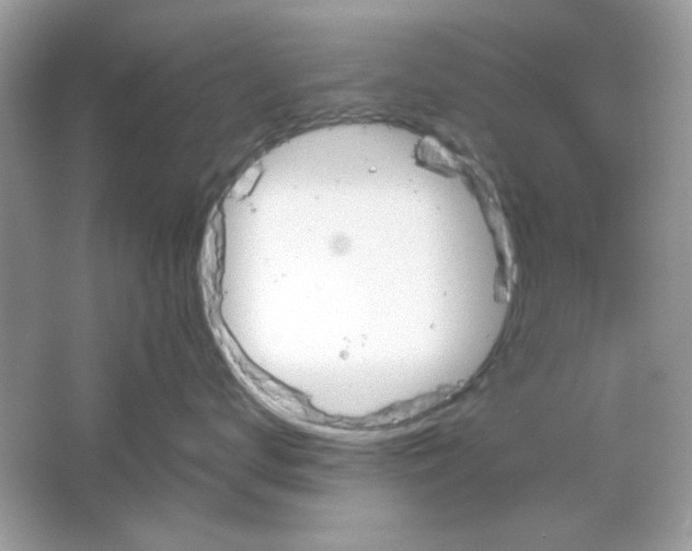 X0000065970672200603241915