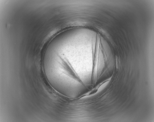 X0000065970675200603241914