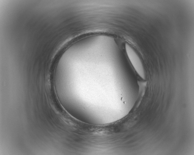 X0000065970676200603241914