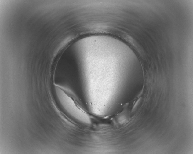 X0000065970677200603241914