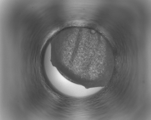 X0000065970679200603241914