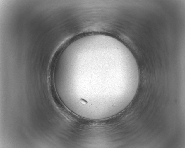 X0000065970680200603241914