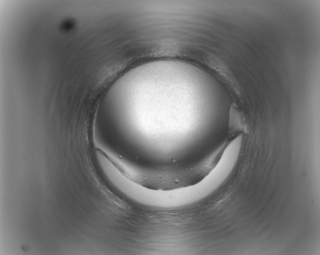 X0000065970681200603241914