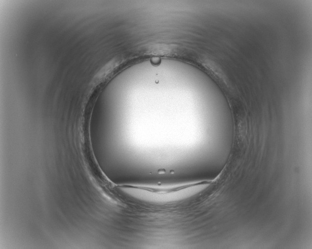 X0000065970682200603241914