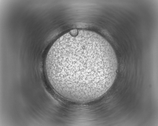 X0000065970683200603241914