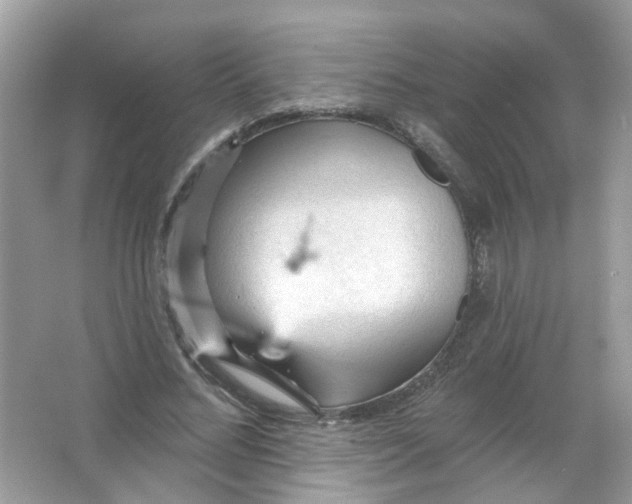 X0000065970684200603241914