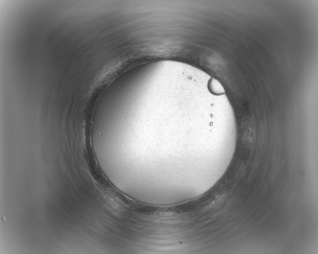 X0000065970685200603241914