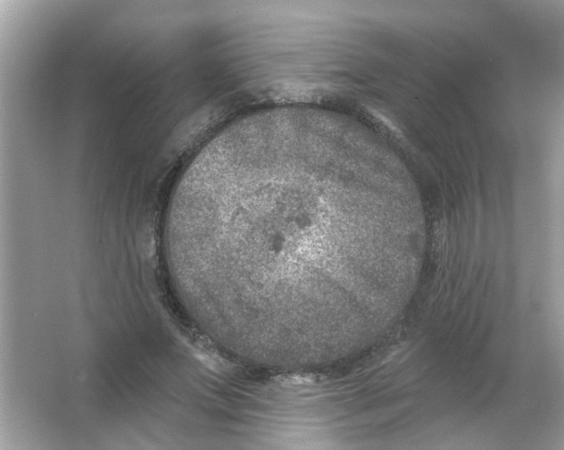 X0000065970687200603241914