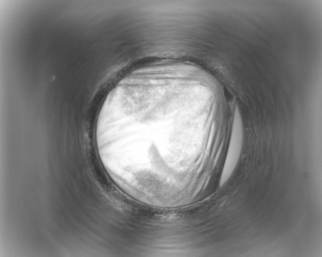 X0000065970688200603241914