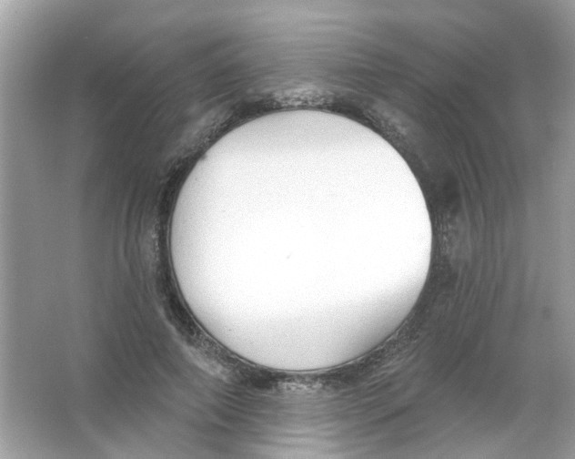 X0000065970690200603241914